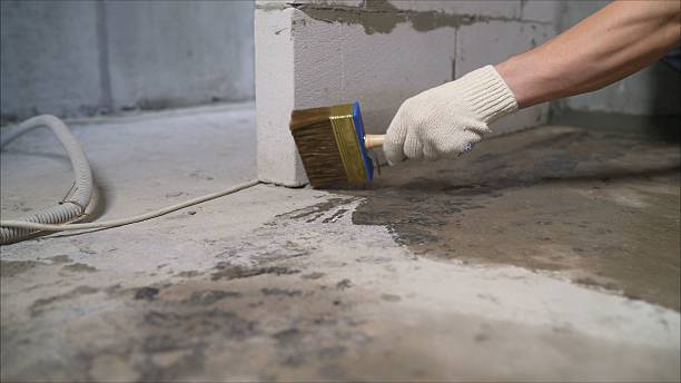 24/7 Emergency Crawl Space Encapsulation experts in Boonton, NJ
